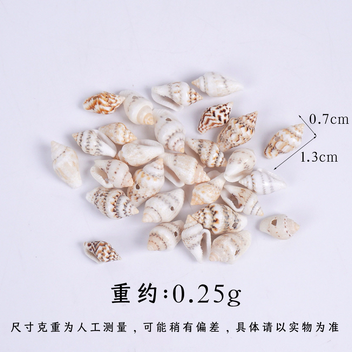 穴の開いた1.3cmの小さなカタツムリ 1個