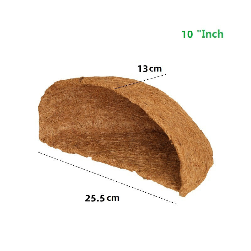 10インチ半壁ココナツ服