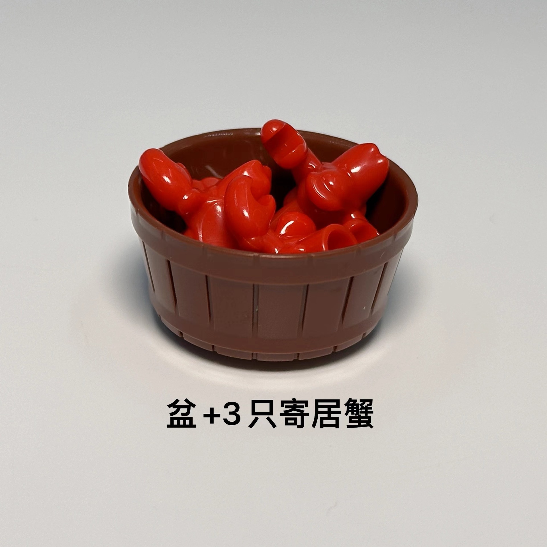 鉢3匹のヤドカリ