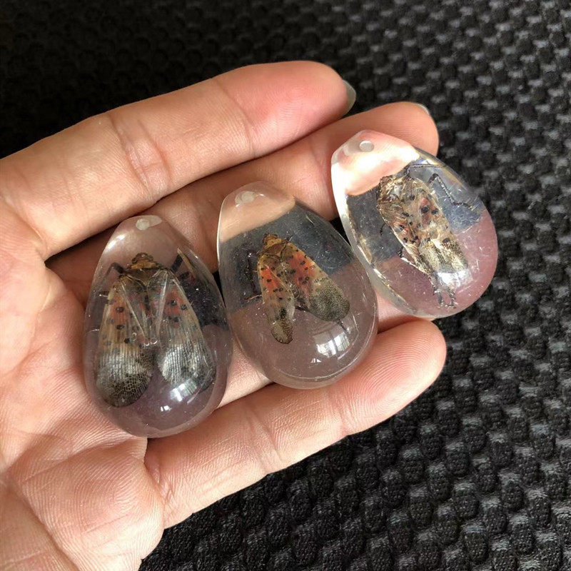 白地の花のお姉さん