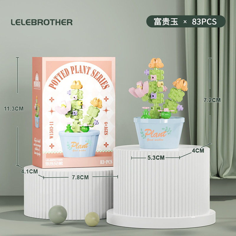 【多肉鉢植え・福翡翠】カラーボックス