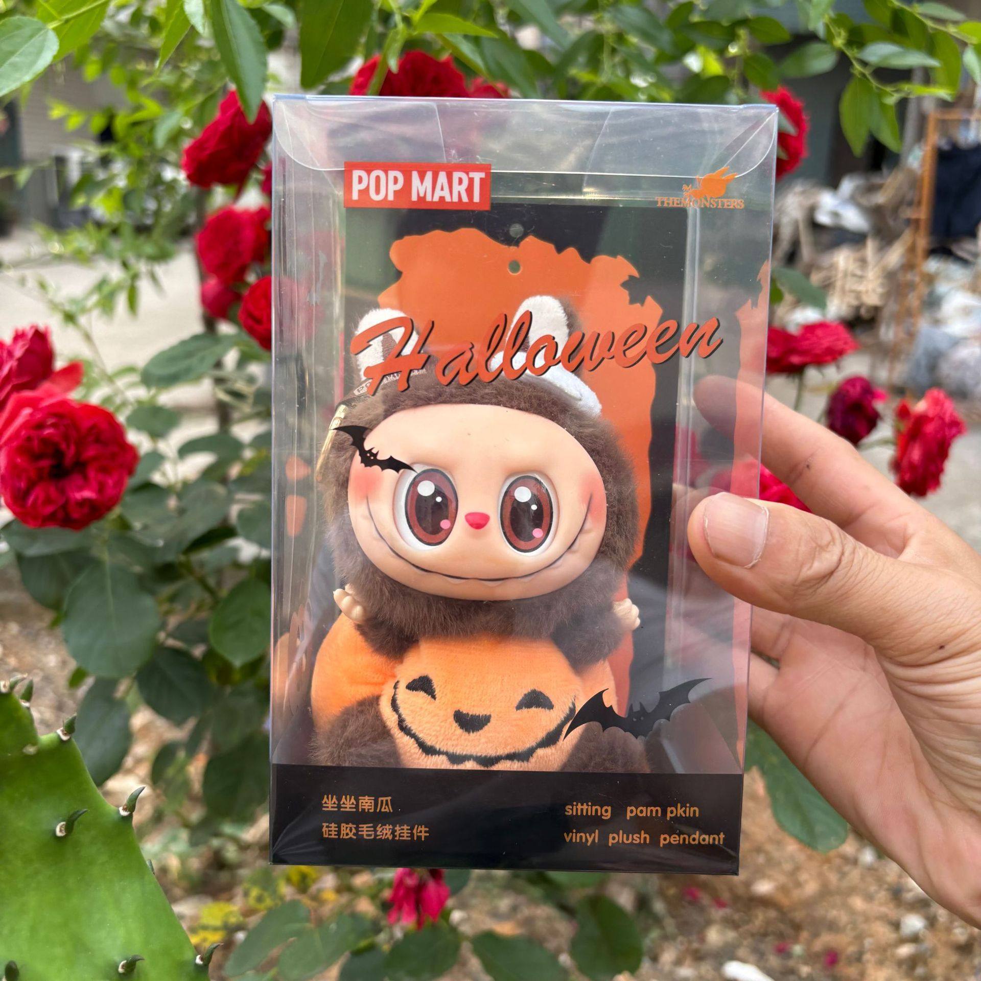 かぼちゃ【高品質】