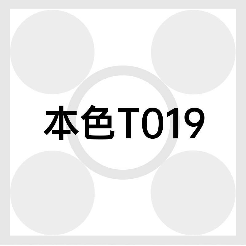 T019 トゥルーカラー