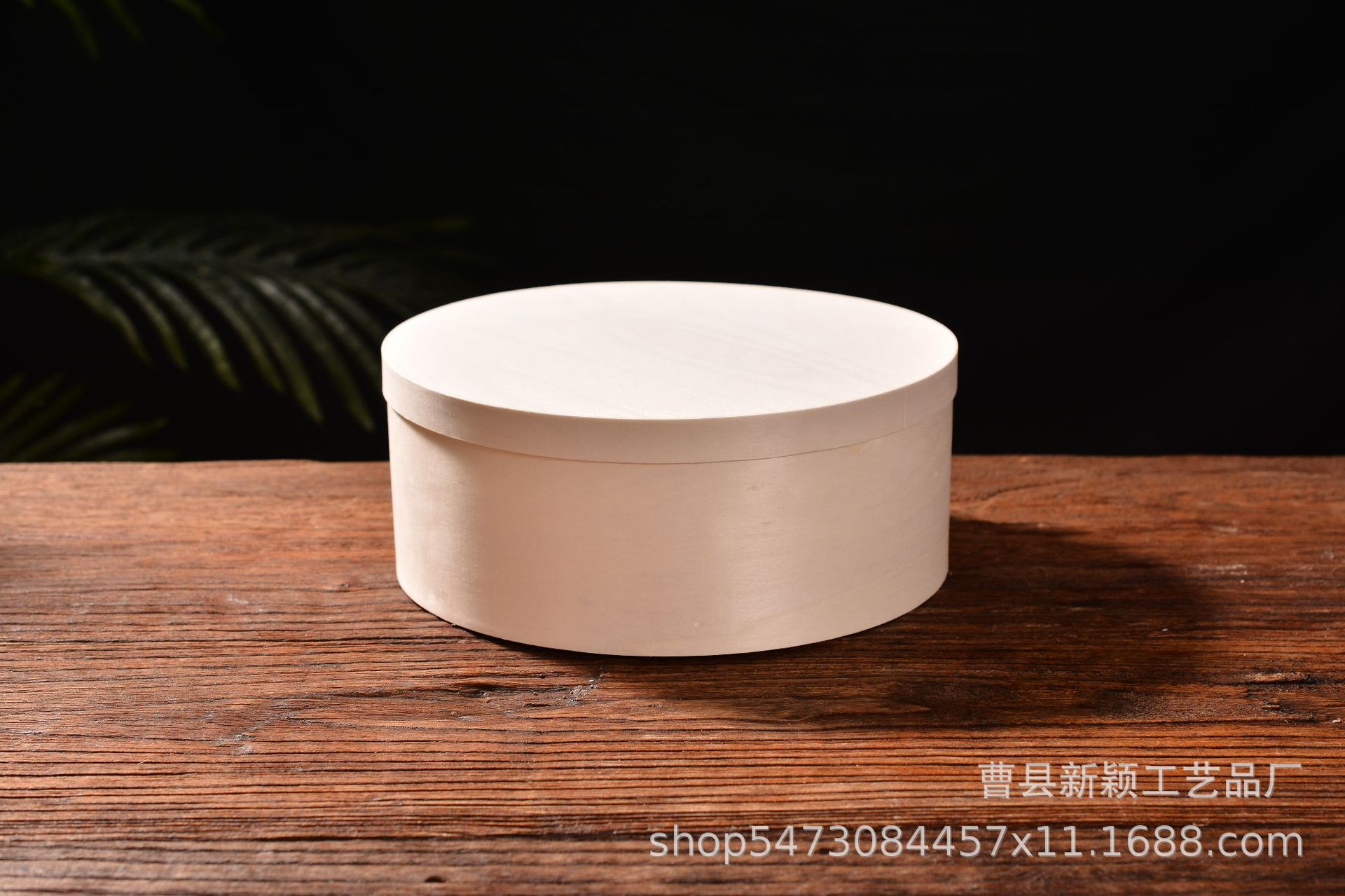 ポプラ18*8cm