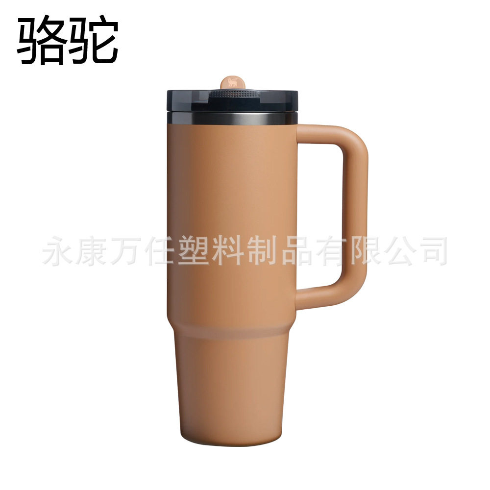 キャメル - イオンプレーティング