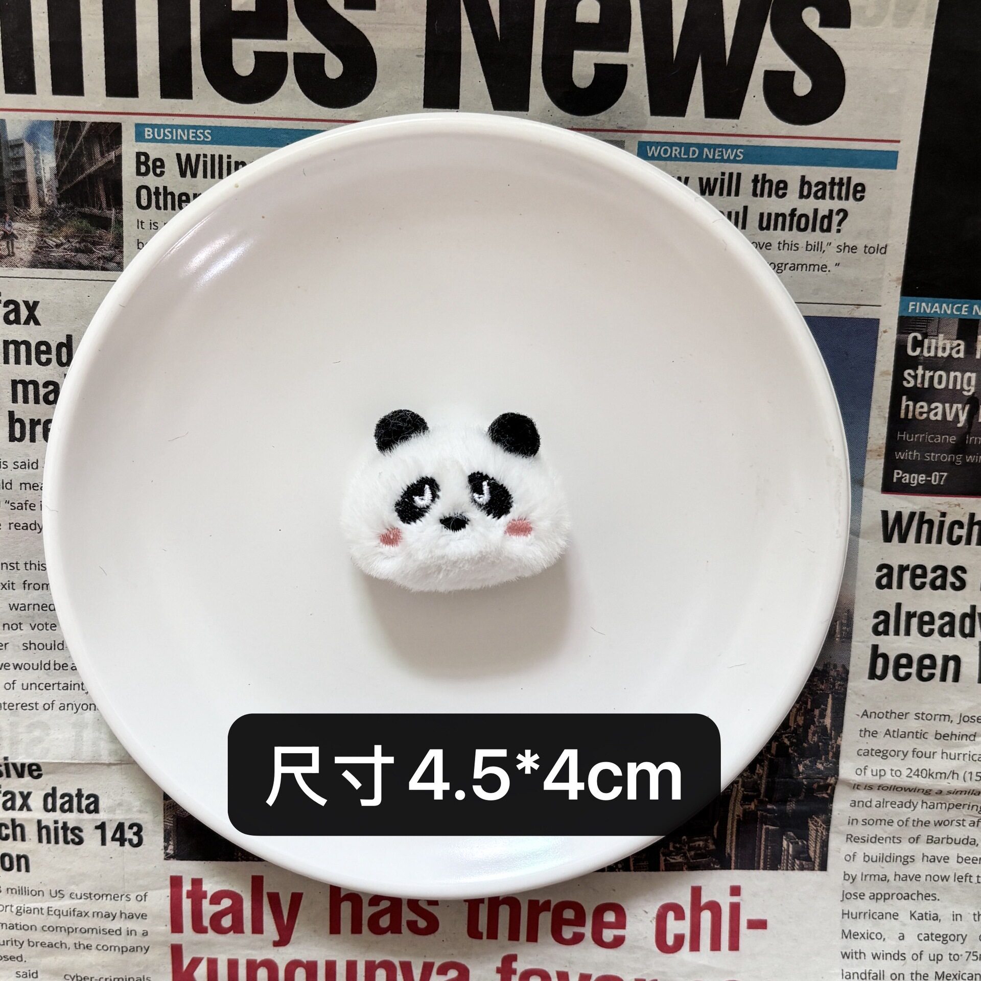 ミニパンダの頭