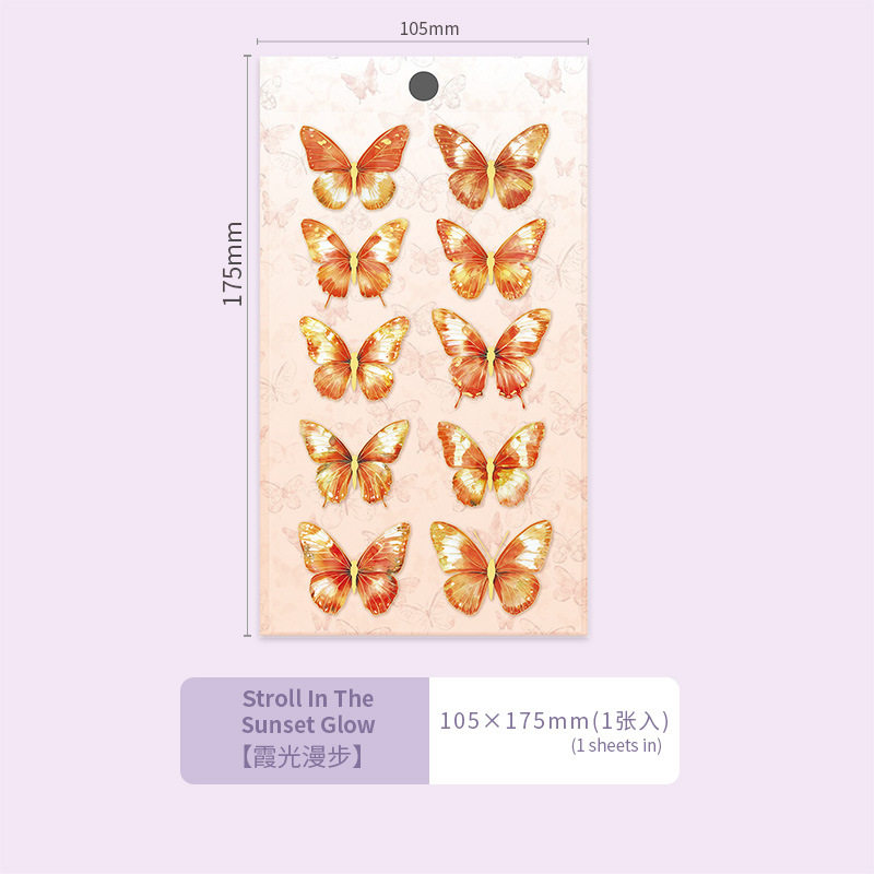 シア・ライト・ウォーク