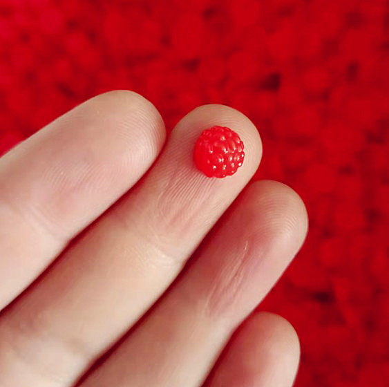 小さな赤い桑の実