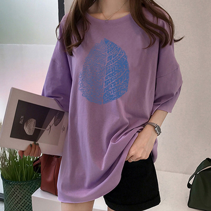 Nn2697 # 紫