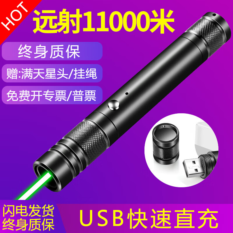 [ブラック] (グリーンライト + カスミソウ + USB 直接充電)